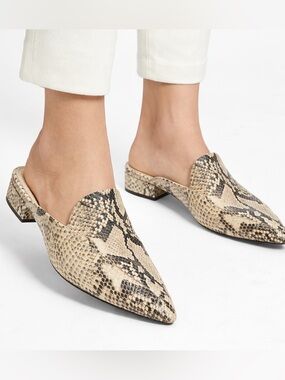 Cole Haan Snakeskin Leather Mules Pointed Toe Low Heel Size 8 / 8.5 Chic Neutral